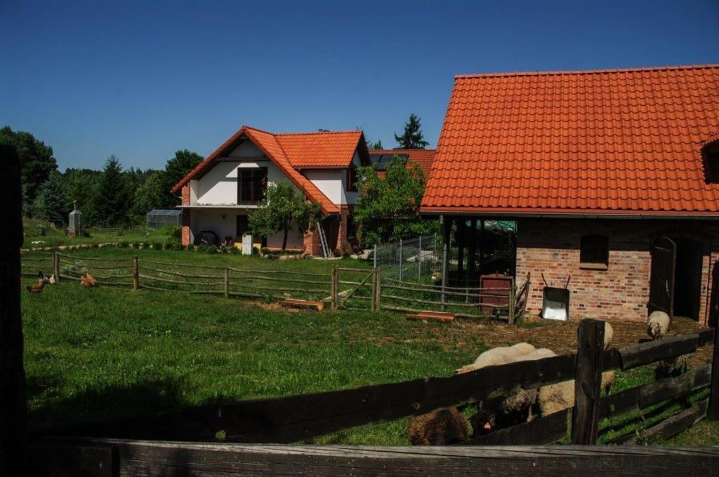 U Magdy Villa Ostrowice Eksteriør billede